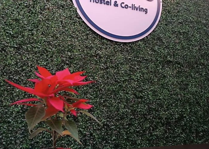Roma Guest house *